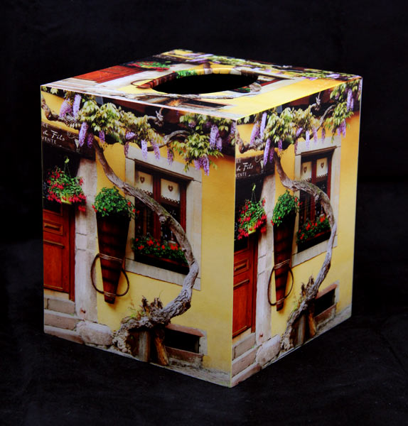 Barb Matchick - Tissue Box - Wisteria & Yellow Wall