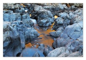 Evening Light at Johnson's-Shutins