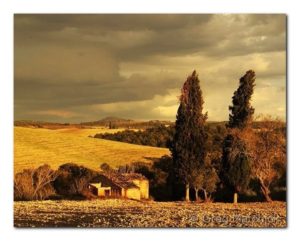 Greg Matchick - Evening Light On the Road to Pienza - Photography