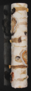 Petite Birch Log - ©Carla Duncan - 23x4.5x2.75 - $150