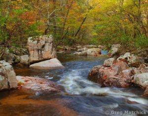 fall-colors-on-pickle-creek-1