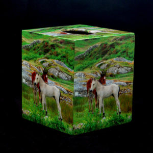 Barb Matchick - Tissue Box