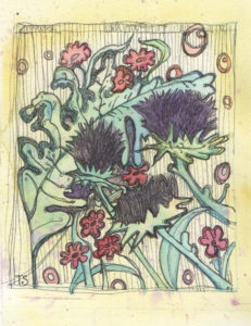 ©Terri Shay - Terri’s Thistle - Pen, Ink and Watercolor - 10 x 8 - $215