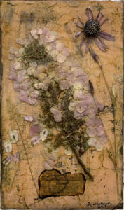 Found - ©Amy Willcut - Mixed Media Botanicals - 10 x 6 - $110