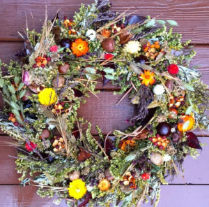 Gratitude Wreath - ©Pat Tuholske - Goldenrod, Ironweed, Wild Grasses, Strawflowers, Globe Amaranth, Bittersweet, Artemisia, Nuts and other Wild Offerings - 15” diameter - $85