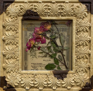 Mother's Roses - - ©Amy Willcut - Mixed Media Botanicals - 15.5 x 15.5 - $180