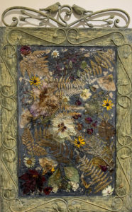 The Song of Paradise - ©Amy Willcut - Mixed Media Botanicals - 37.5 x 23. 25 - $577