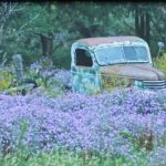 BEAUTY AND THE BEAST QUESTA, NEW MEXICO- ©RONALD KRIEGER-photograph on canvas - 10.75 x 12.75 - $200 - 2010