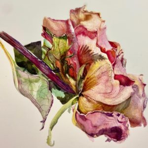 Romance in the Air-©KarenRomani-Watercolor-12”x10”-$375-2021