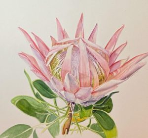 Spring Awakening-©Karen Romani-Watercolor- $375-2020.jpg