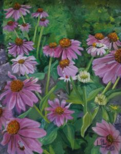 Cone Flowers ©Linda Layton - Oil- 11 x 14 $225