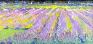 Lavender Rows - ©Michele Wells - Pastel - $310