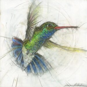 Hummingbird 09 - ©Laura Lebeda - Giclee on cradled board - 6 x 6 in - $65