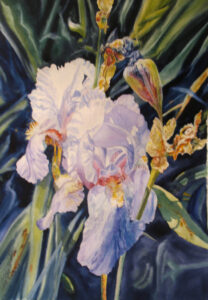 From My Garden - Linda Wilmes - watercolor - 21 x 27 inches - $500