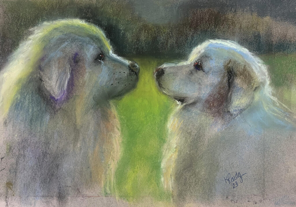 Pet Portrait 2-Day Workshop with Karen Raidy