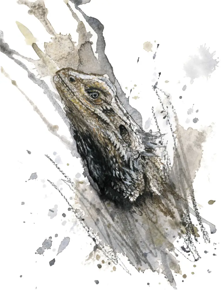 Holtzmann, Arleana 6