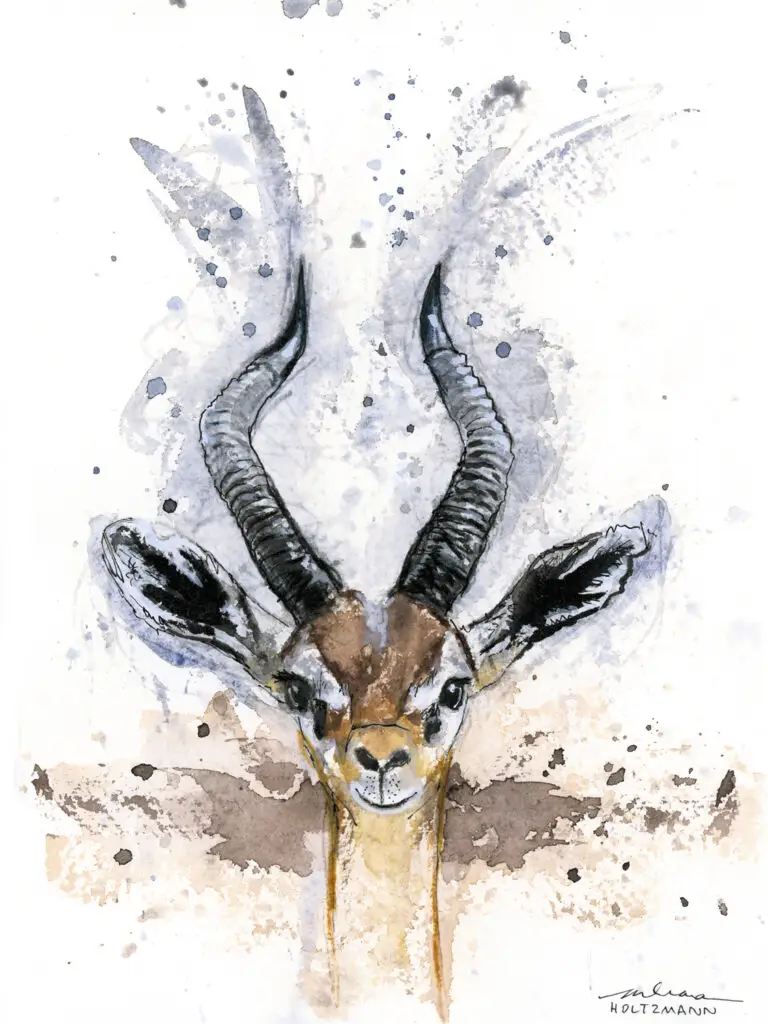 Holtzmann, Arleanna 5