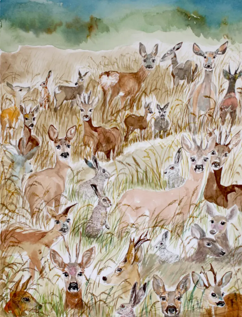 Deer ©Jojo Li - watercolor