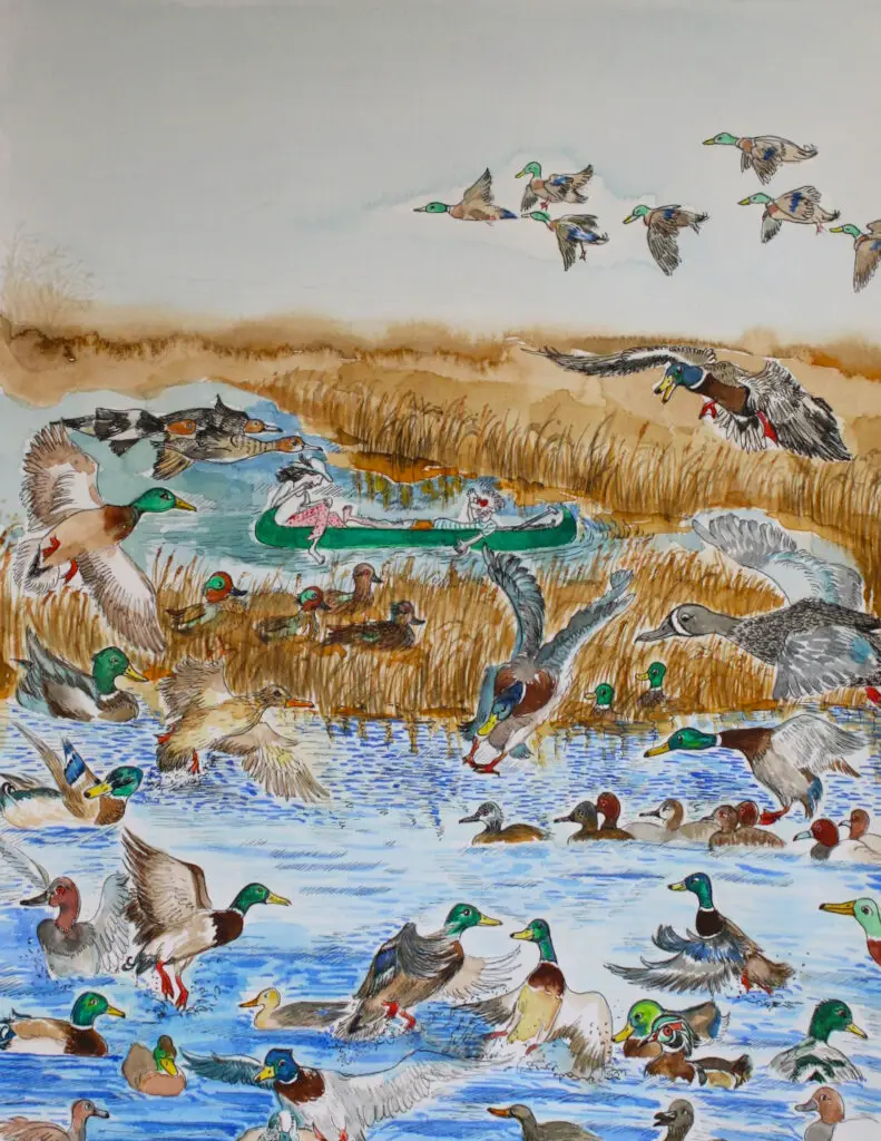 Ducks ©Jojo Li - watercolor