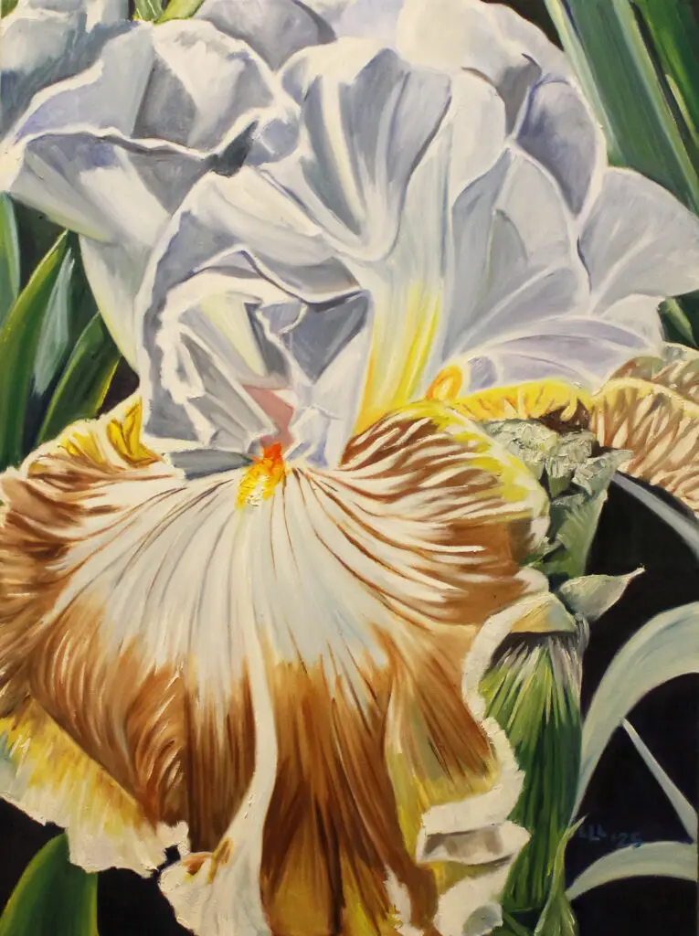 Copy of Copy of IMG_0086_edited