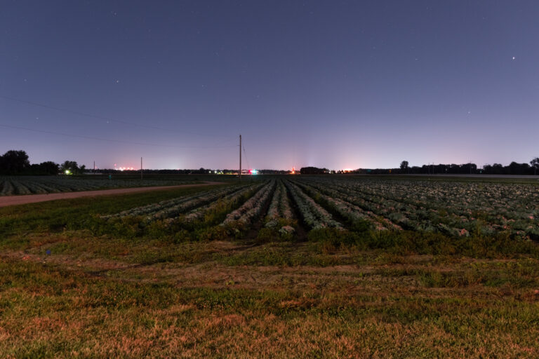 TateSkinner_Growing_18x12-FRAMED (1)