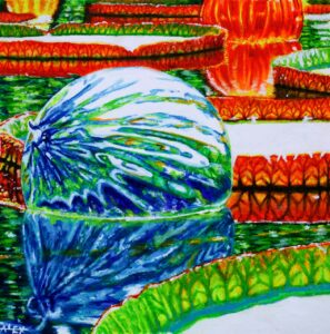 Botan Ball ©Alex Johnmeyer