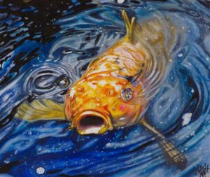 Don't Be Koi ©Alex Johnmeyer