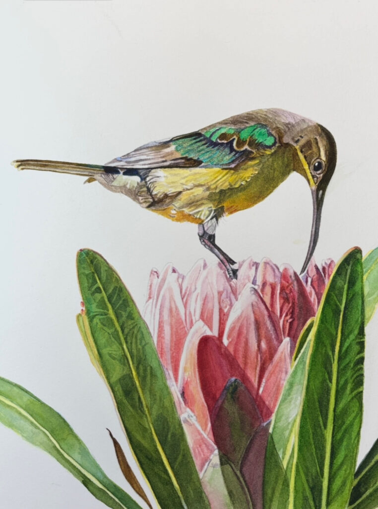 Lunchtime - ©Karen Romani